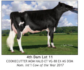 95221
