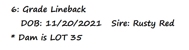96626