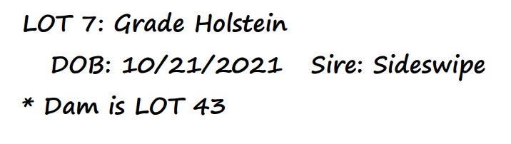 96627