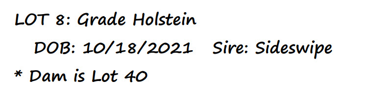 96631