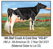 98803