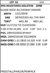 97657