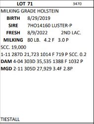 97678