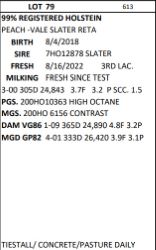 97686
