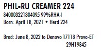96964
