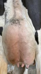 96976