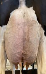 97132