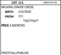 101284
