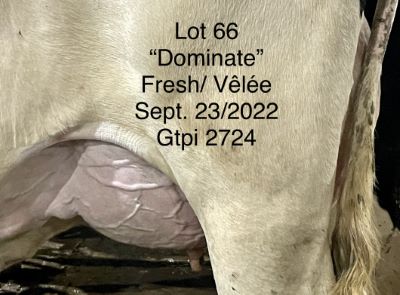 99983