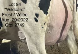 100056