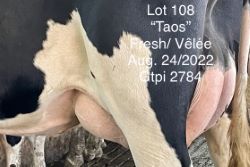99829