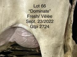 99983
