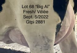 99985