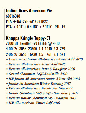 102354