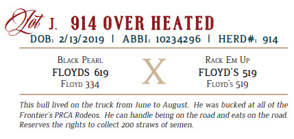 103038