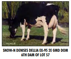 106156