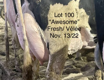 110013