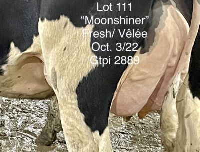 110042
