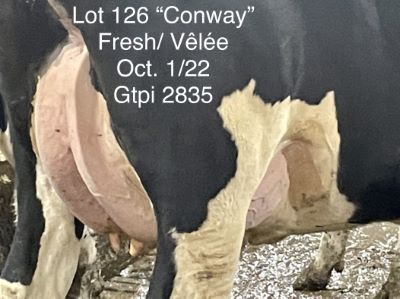 110078