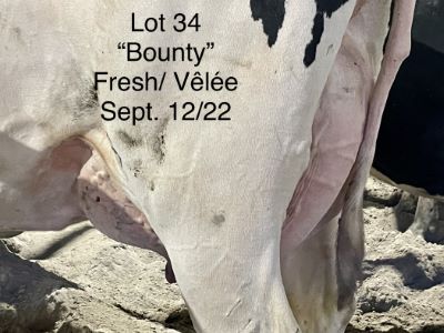 110162