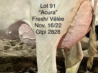 110306