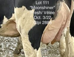 110042
