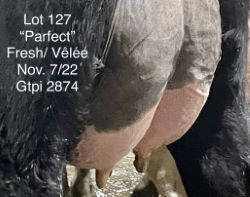 110080