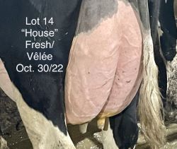 110106