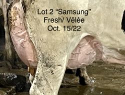 110121