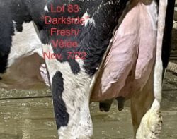 110285