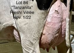 110286