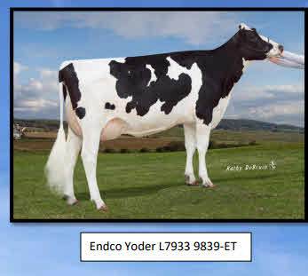 114766