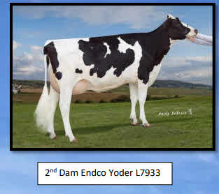 114777