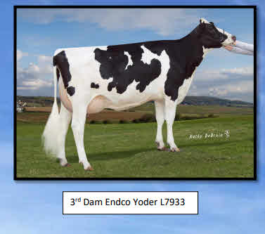 114781