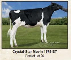 116303