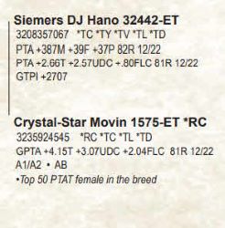 116306