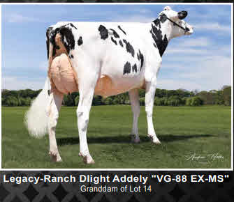 114848