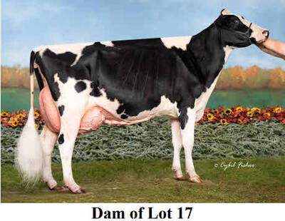 122508