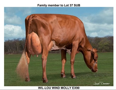 120981
