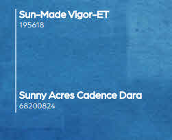 122098
