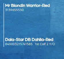 122088