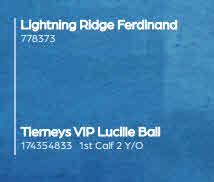 122169