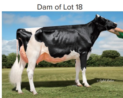 133201