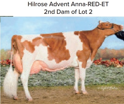 133208