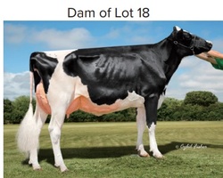 133201