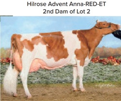 133208
