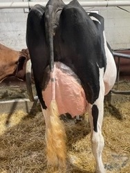 126526