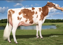 126530