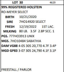 117272