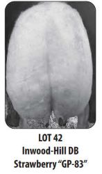 116147
